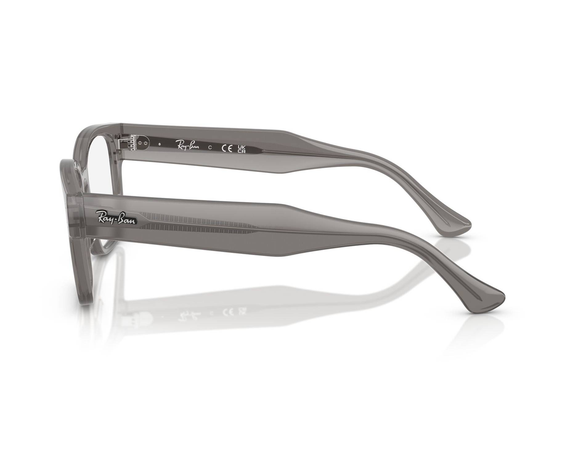 Ray-Ban Glasses Laurene RX7256 8431