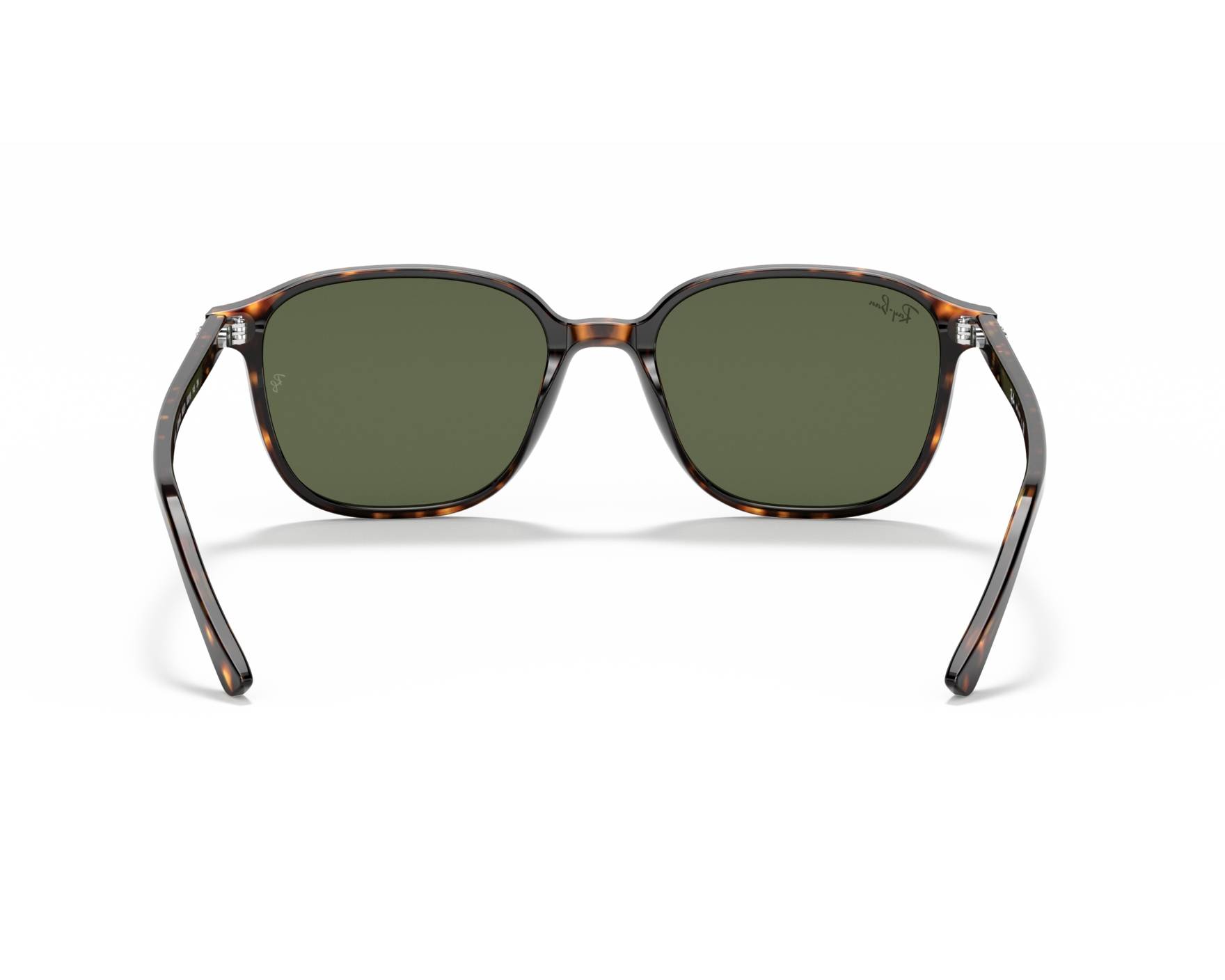 Ray-Ban Sunglasses Leonard RB2193 902/31