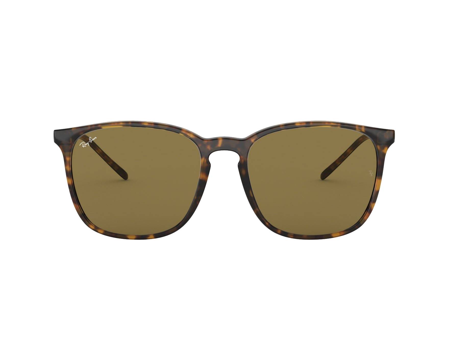 RBさん専用　ANALYSTAR 73 Ray-Ban Sunglasses RB-4387 710/73