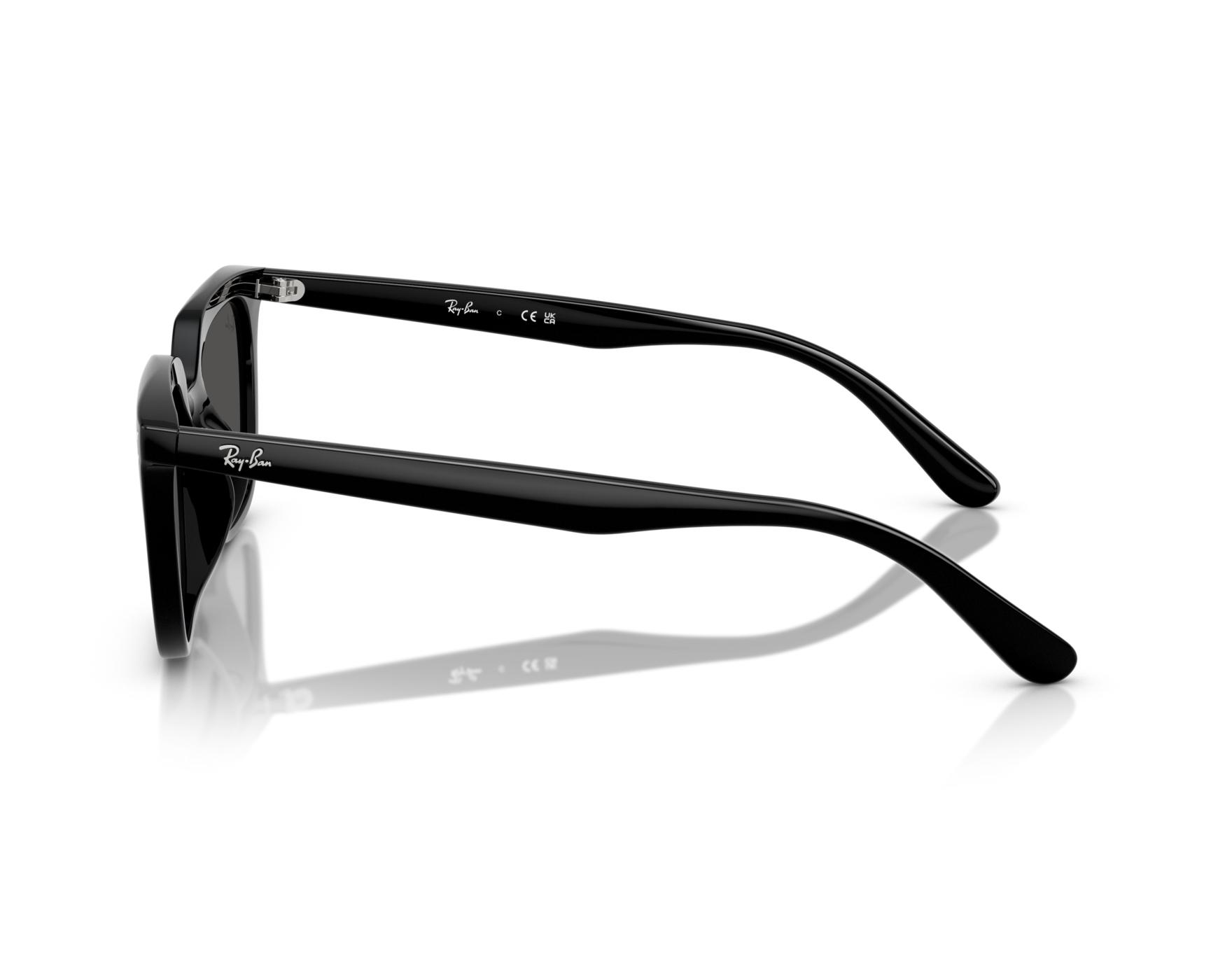 Ray-Ban Sunglasses RB4439D 901/87