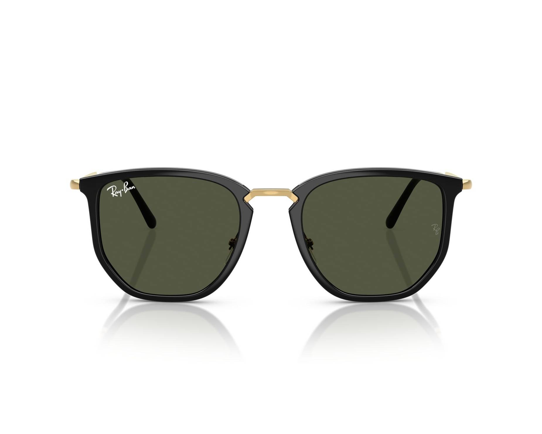 Ray-Ban Sunglasses RB4451 630631