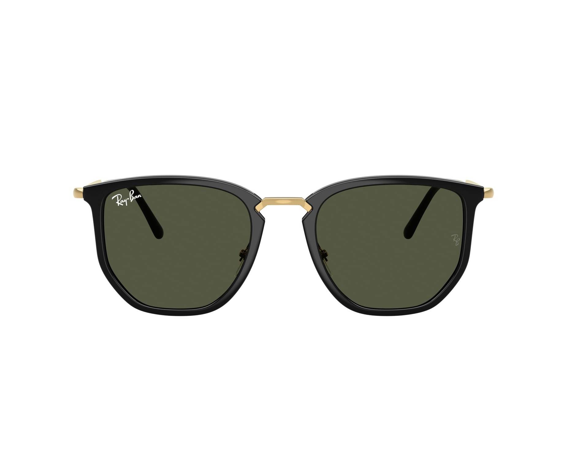 Ray-Ban Sunglasses RB4451 630631