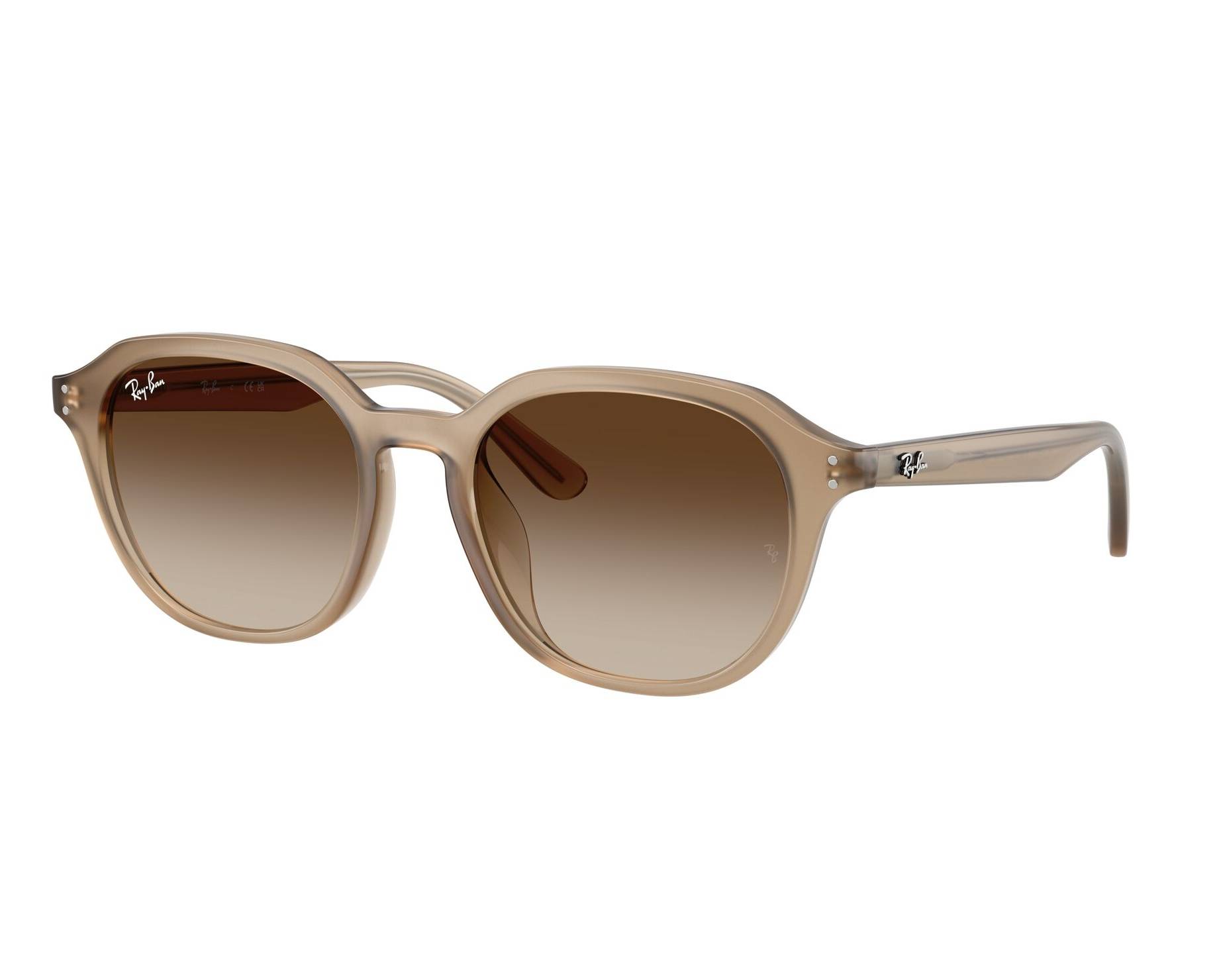 Ray-Ban RB4459D 616613: Buy Online | Visionet