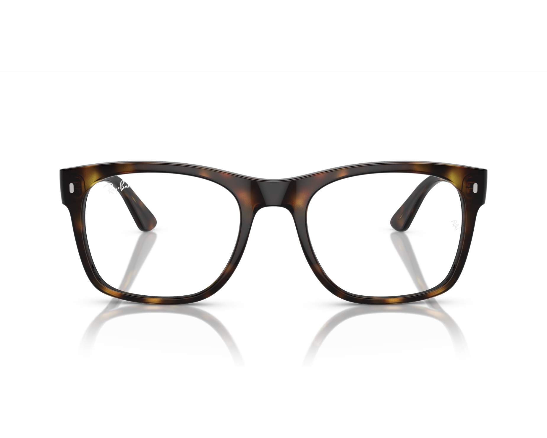 Ray-Ban Glasses RX7228 2012