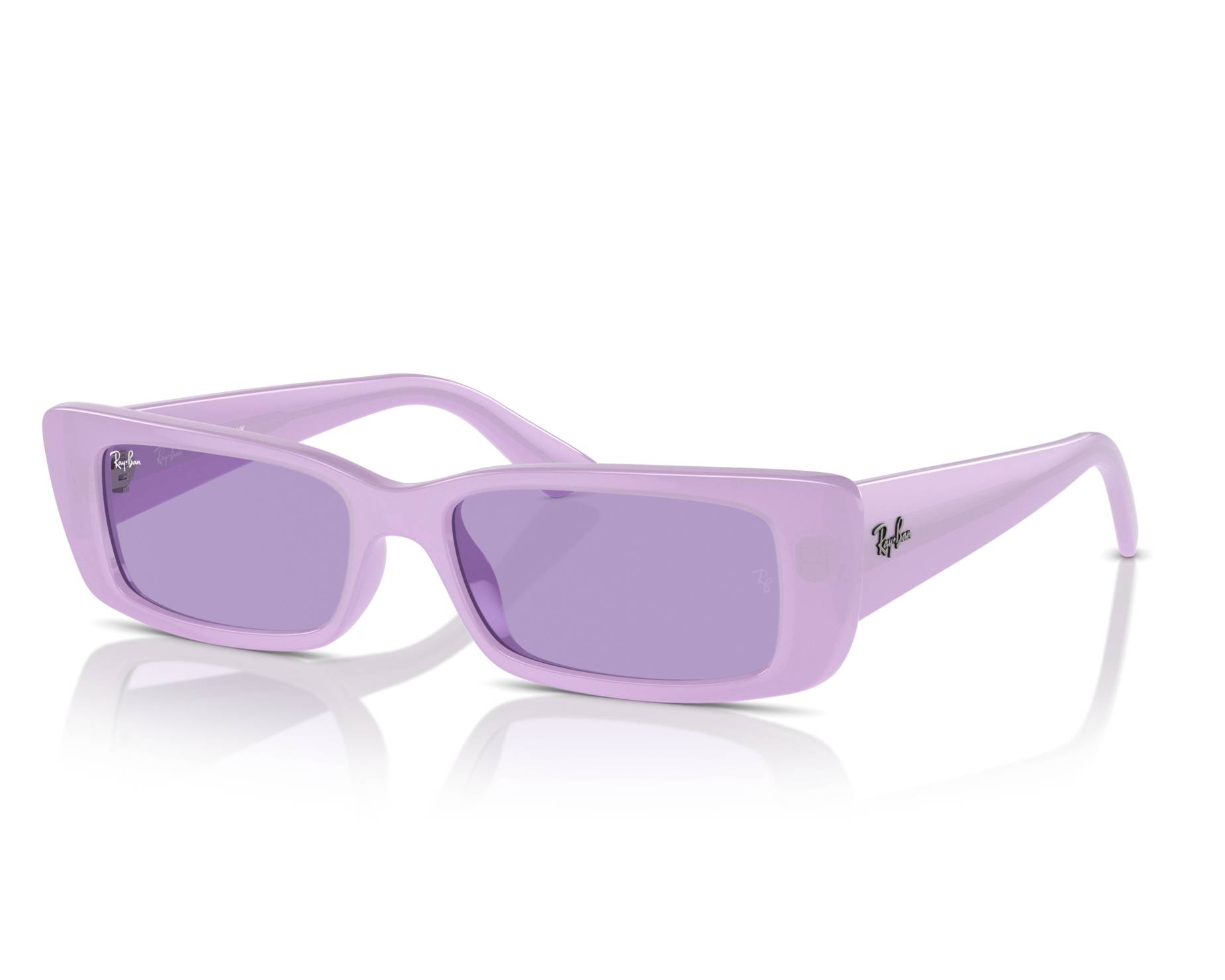 Ray-Ban Sunglasses Teru RB4425 67581A