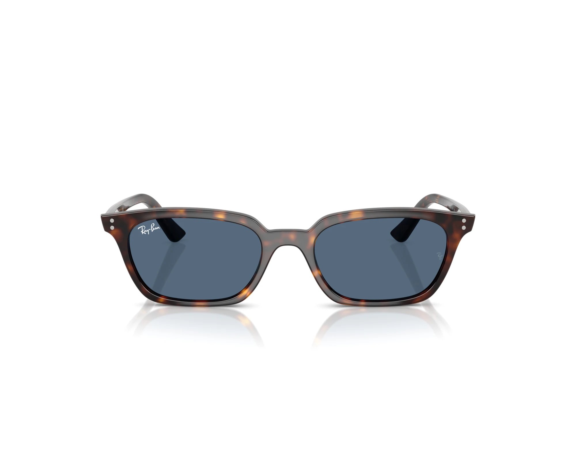 Ray-Ban Sunglasses Zaya RB4456 135980