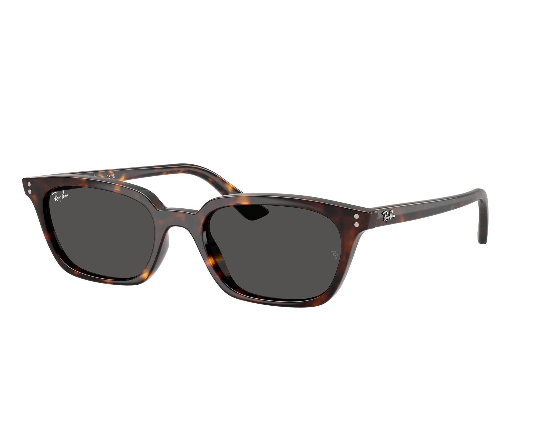 その他 Ray Ray-Ban Sunglasses Zaya RB4456 135987