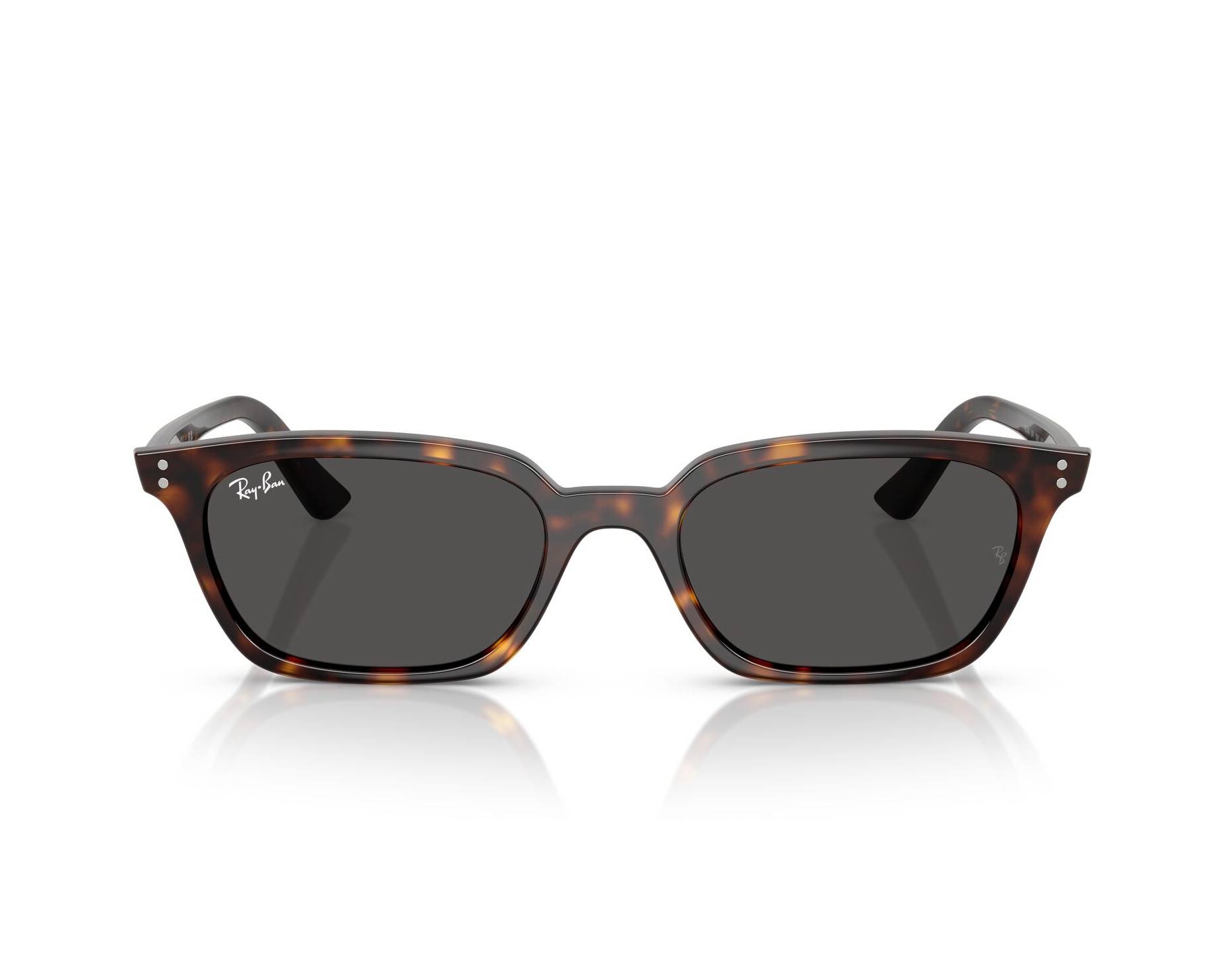 Ray-Ban Sunglasses Zaya RB4456 135987