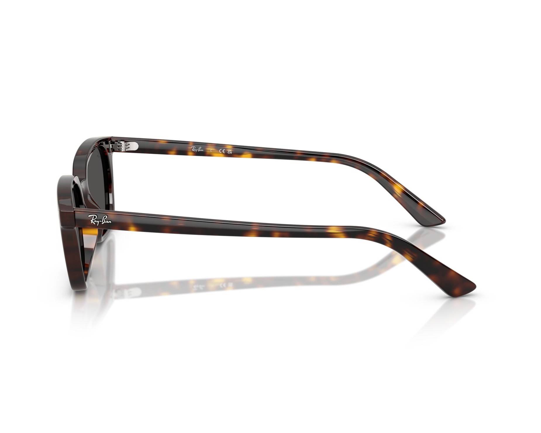 Ray-Ban Sunglasses Zaya RB4456 135987