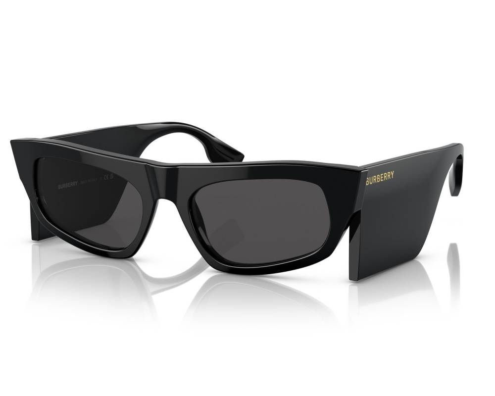 Burberry Sunglasses Palmer BE4385 300187