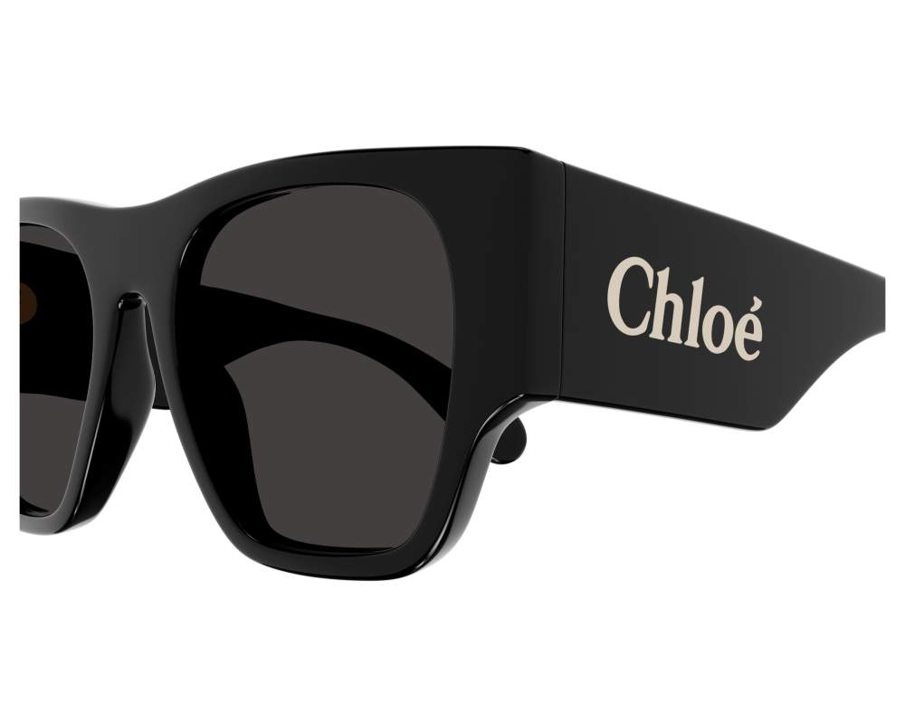 サングラス Chloe Sunglasses Chloe Sunglasses CH0233S 001