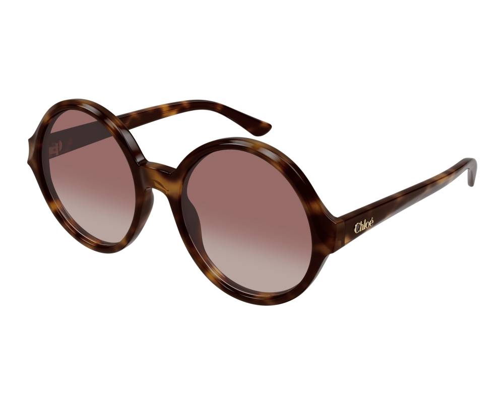 サングラス Chloe SUN GLASS (CH0153S 009) サングラス Chloe SUN GLASS (CH0153S 009) Chloe CH0153S Oval