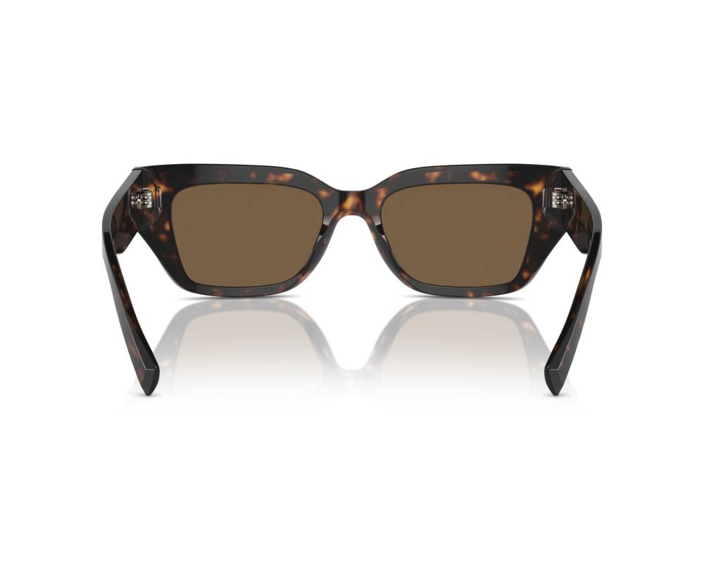 Dolce & Gabbana Sunglasses DG4462 502/73