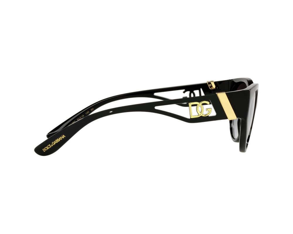 Dolce & Gabbana Sunglasses DG6146 501/8G