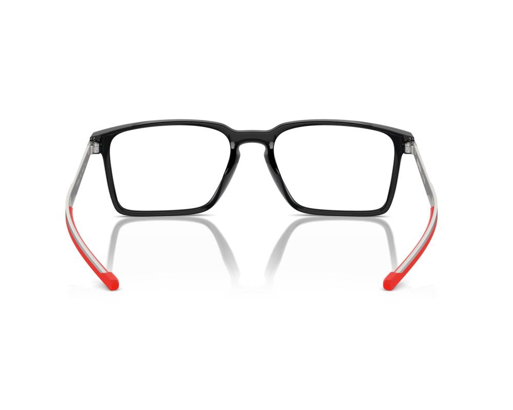 8588ページ WP 20238 in Tortoise | Visionworks