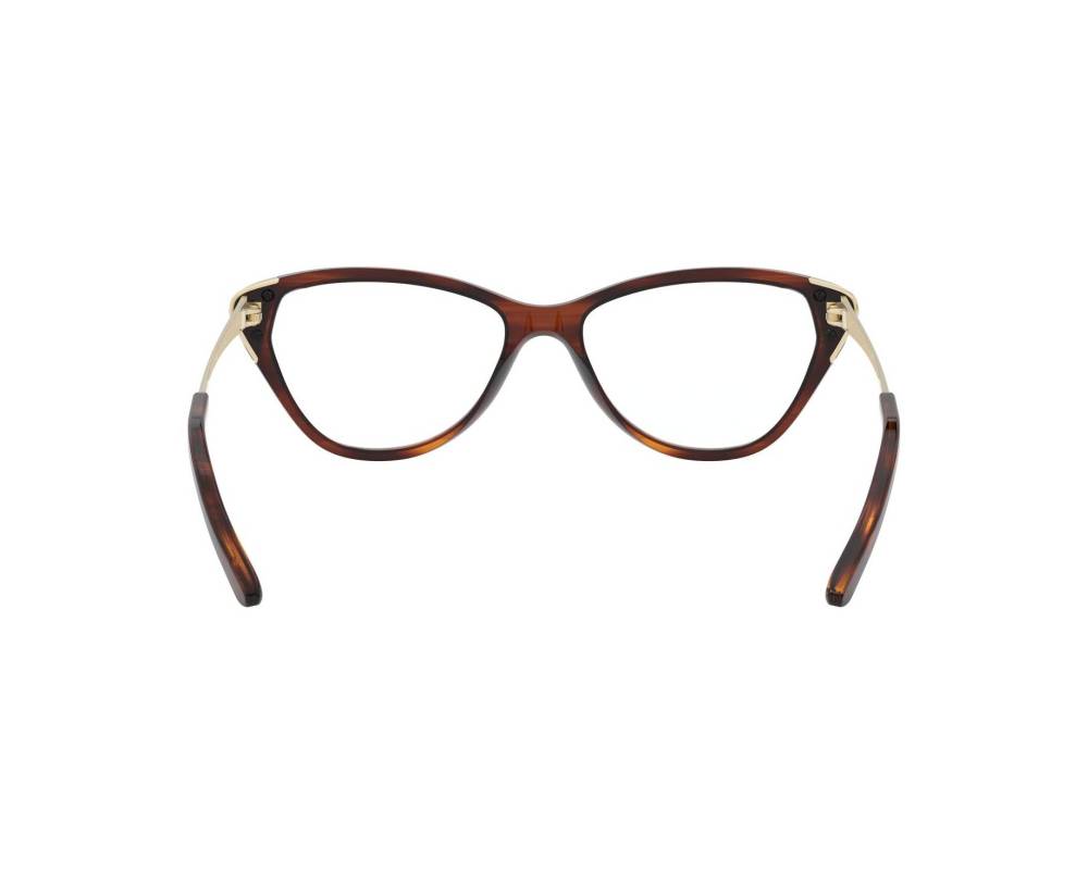 Ralph Lauren Ralph Lauren RL-6191 5007 53-15 Havana Gold 360 degree view 7