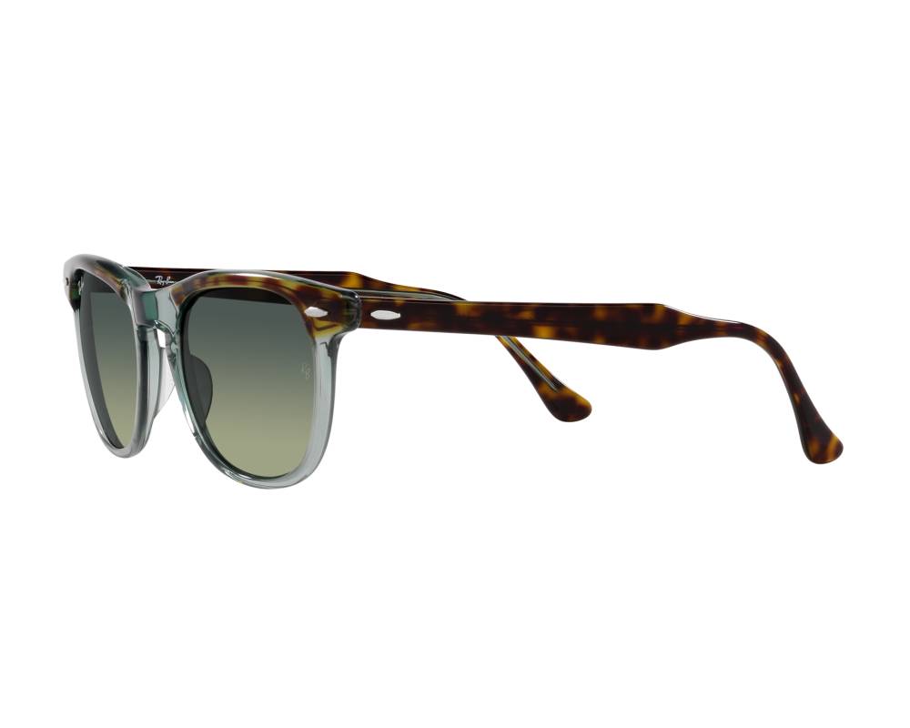 Ray-Ban Sunglasses Eagleeye RB2398 1376BH