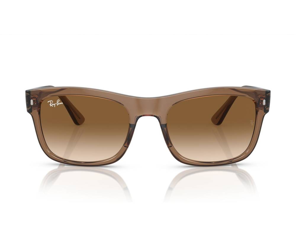 Ray-Ban RB 3681サングラス ブラウン Ray-Ban RB3681 S (50 - 20) with Brown lenses and Gold frame