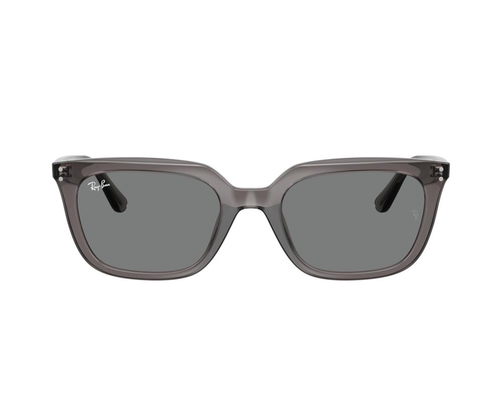 Ray-Ban Sunglasses RB4439D 667587