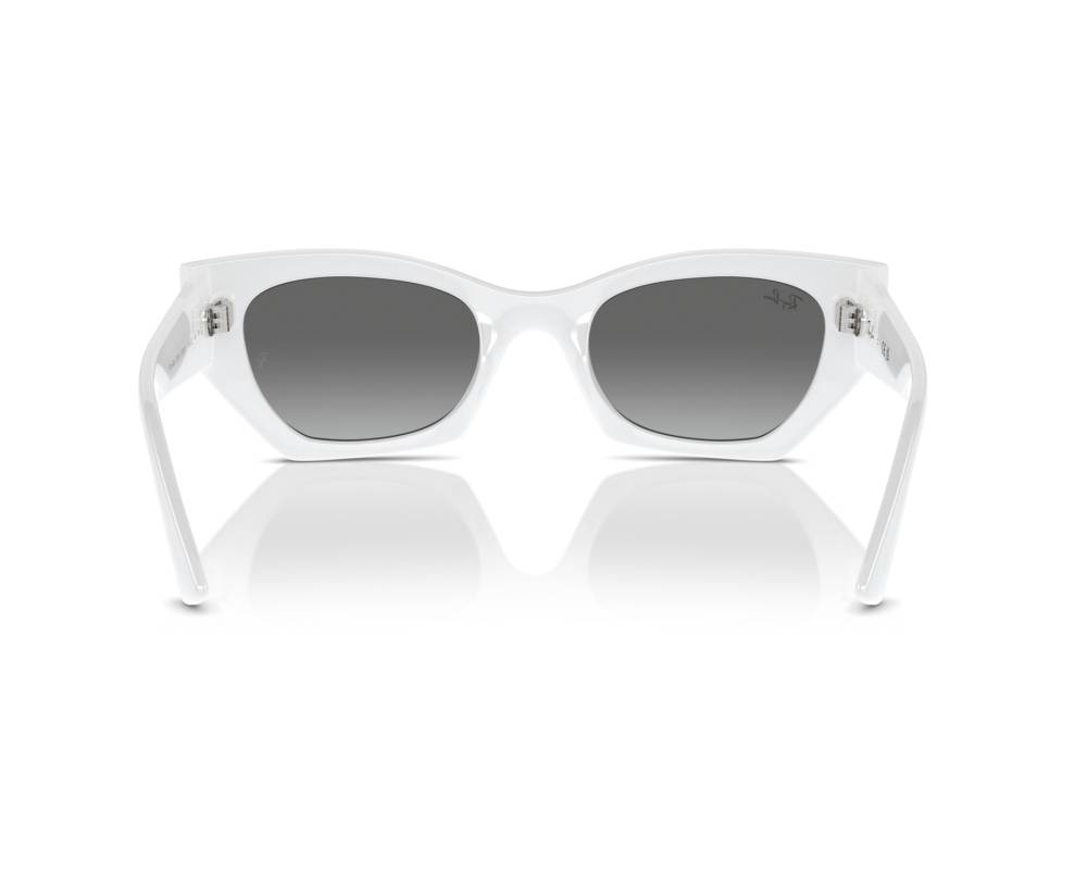 Ray-Ban Sunglasses Zena RB4430 675911