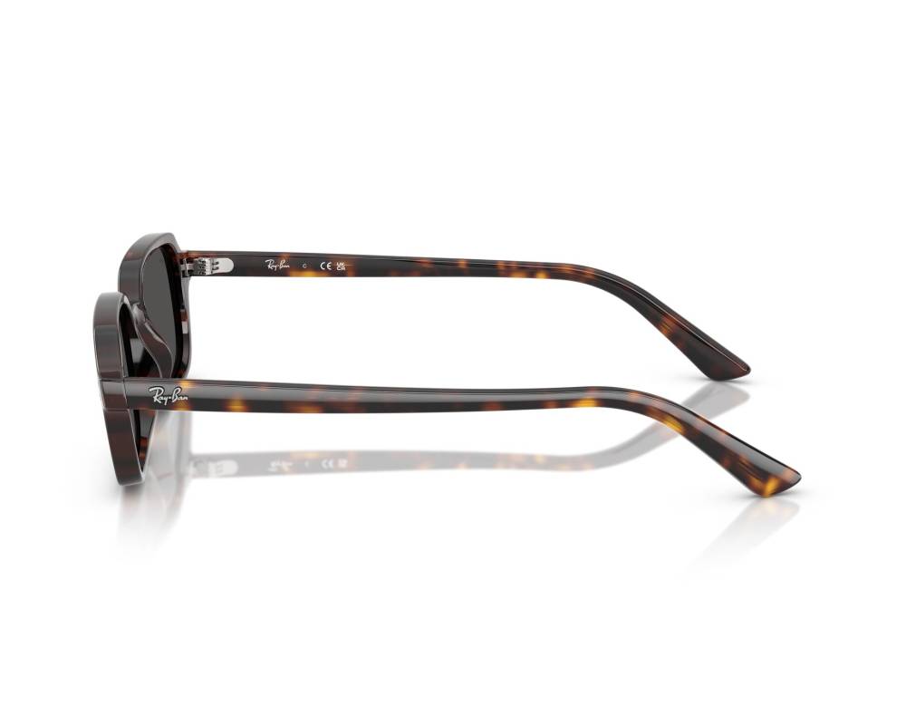 Ray-Ban Sunglasses Zuri RB4455 135987