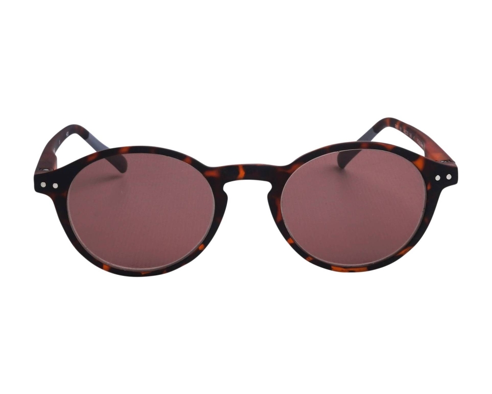 Solar Solar JSLR01 51-MARRON 49-20 Brown Grey front view