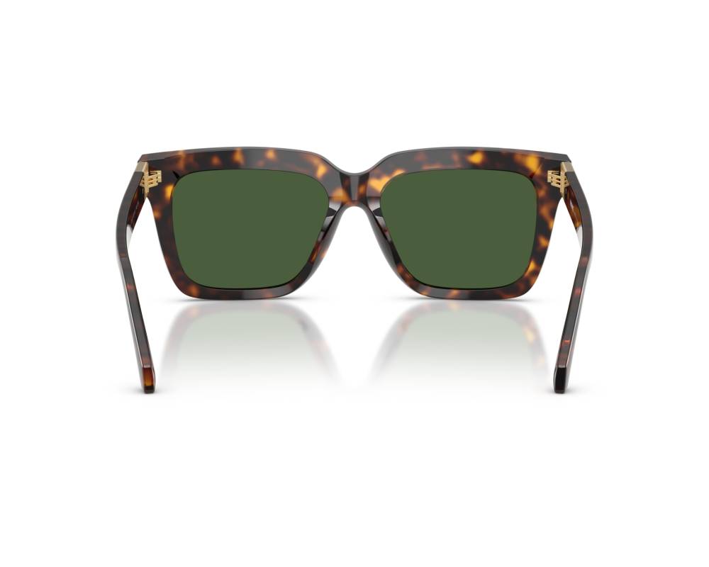 Versace Sunglasses VE4498 108/71