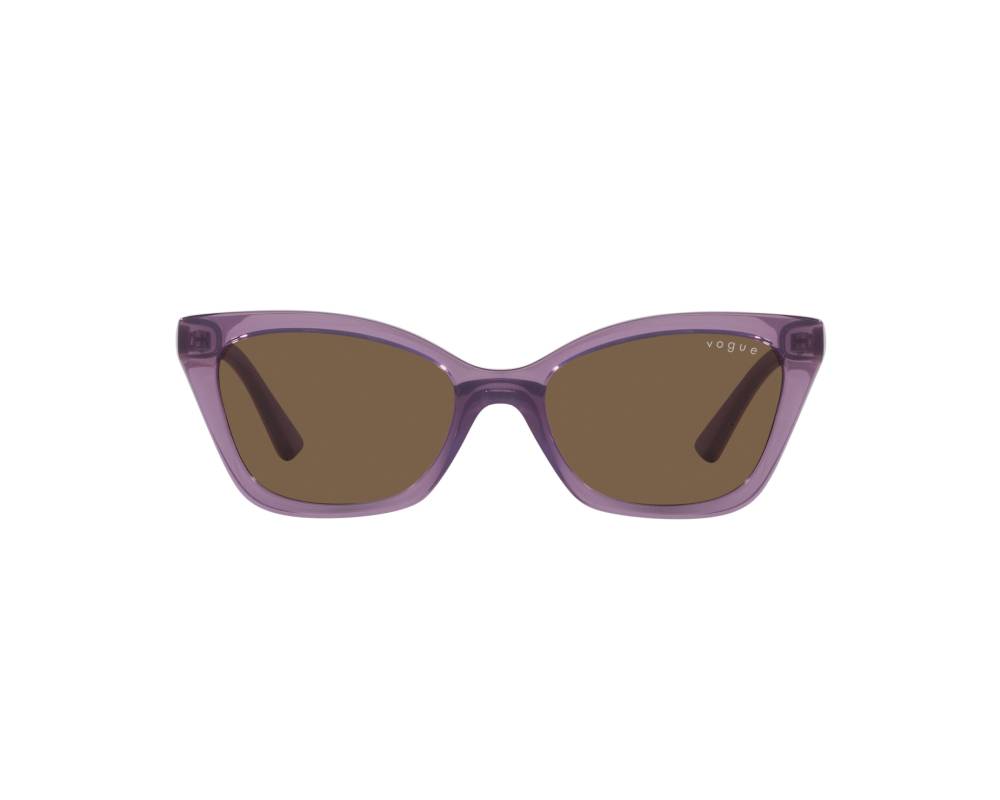 Vogue Vogue Eyewear VJ2020 306473 48-16 Purple  360 degree view 2