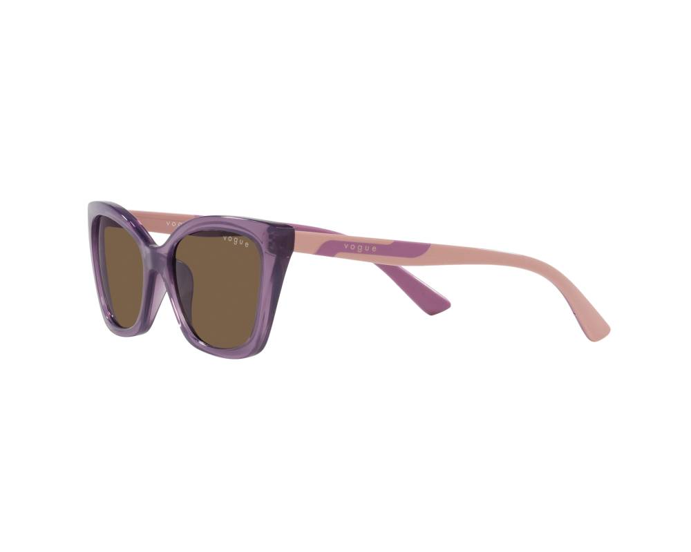 Vogue Vogue Eyewear VJ2020 306473 48-16 Purple  360 degree view 4