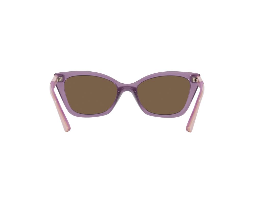 Vogue Vogue Eyewear VJ2020 306473 48-16 Purple  360 degree view 8