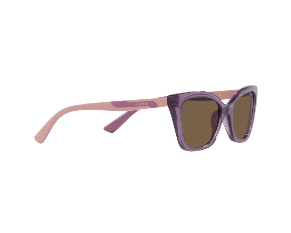 Vogue Vogue Eyewear VJ2020 306473 48-16 Purple  360 degree view 12