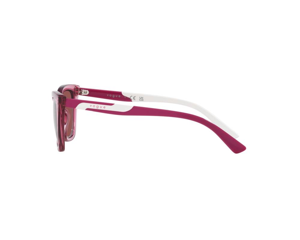 Vogue Vogue Eyewear VJ2020 306569 48-16 Purple  360 degree view 5