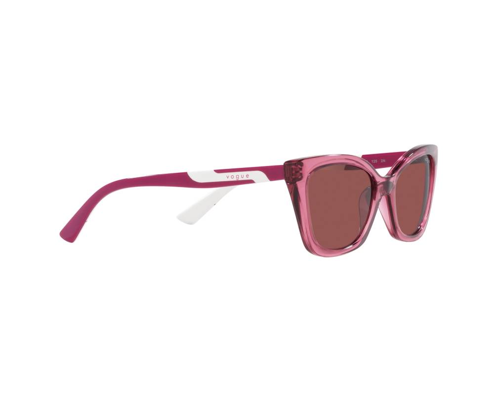 Vogue Vogue Eyewear VJ2020 306569 48-16 Purple  360 degree view 12
