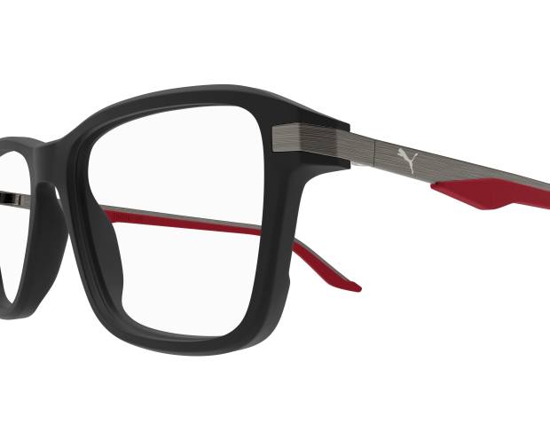 Puma Glasses PU0409O 004